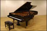 Live Music Entertainment