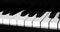 Jazz Bands London