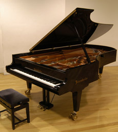 Hireable Musician playing piano