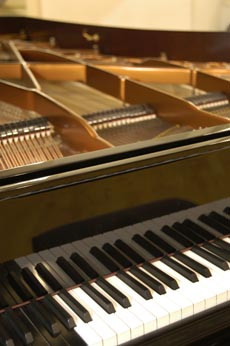 Hireable Musician playing piano