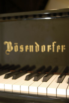 Hireable Musician playing piano
