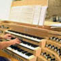 Wedding Organist
