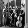 Indigo Strings