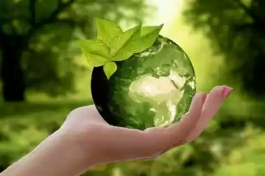 Green Wedding