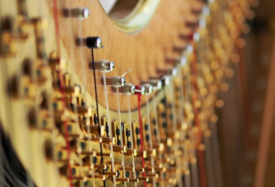 harp strings