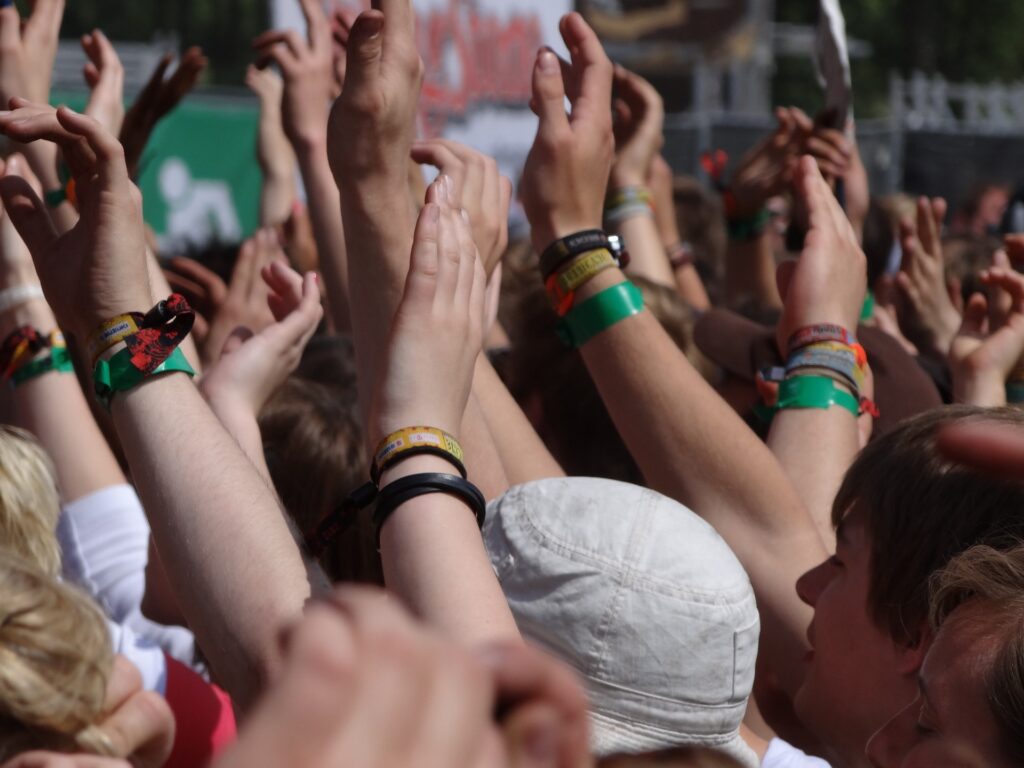 Audience at an outdoor festival