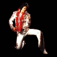 Tribute Bands & Soundalikes