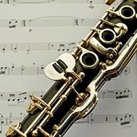 Brass / Woodwind Players