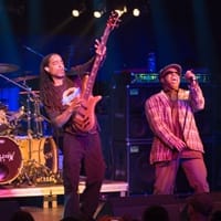 Disco / Funk Bands