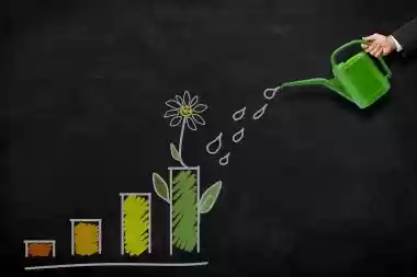Supplement Income