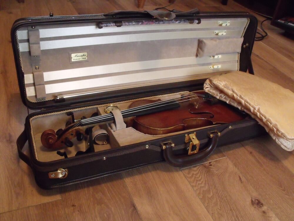 Expensive Musical Instrument (Violin)