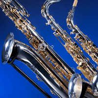 Multi-Instrumentalists