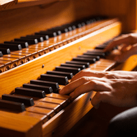 Organists