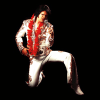 Tribute Bands & Soundalikes
